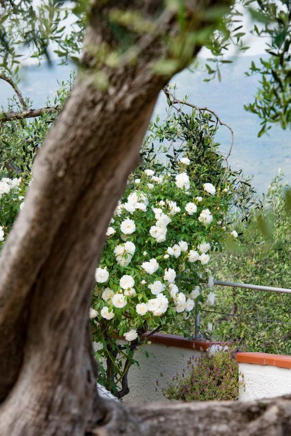 Villa Annetta Poggi Bagian luar foto